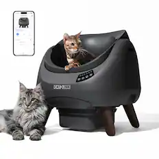 - - - - - LLP - d - - a | ! - I : - . I I - CAT LINK