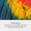 Vivid Colors: Immerse yourself in breathtaking 4K visuals with in-plane switching technology. Enjoy vibrant colors with 99% SRGB.