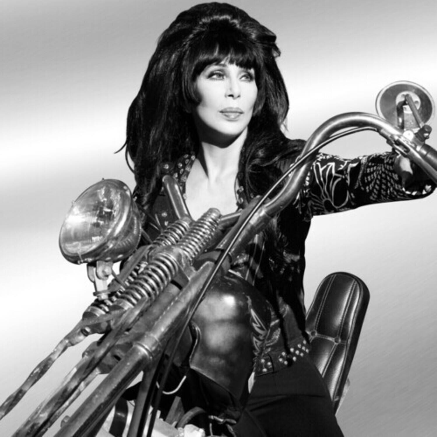 Alt View 1. Cher - Forever   - VINYL LP.