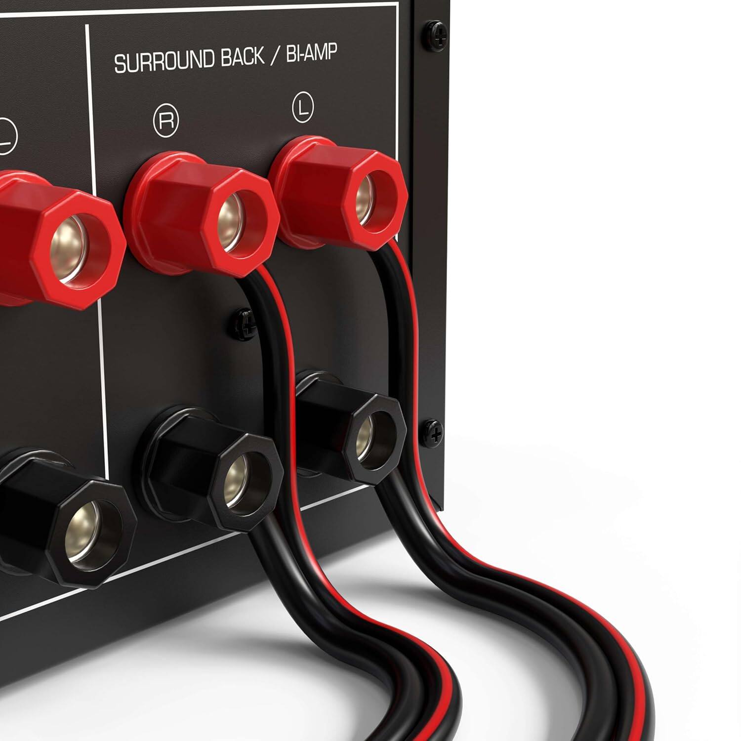 SURROUND BACK / BI-AMP  
R  
L