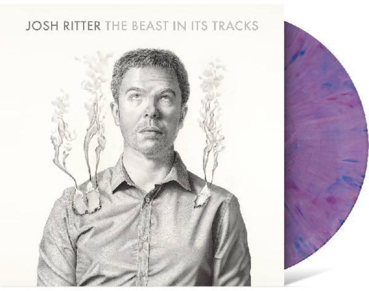 Josh Ritter - The Beast in Its Tracks   - VINYL LP price history on PriceWatchPro