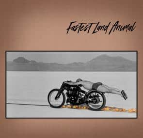 Fastest Land Animal [LP] [VINYL]