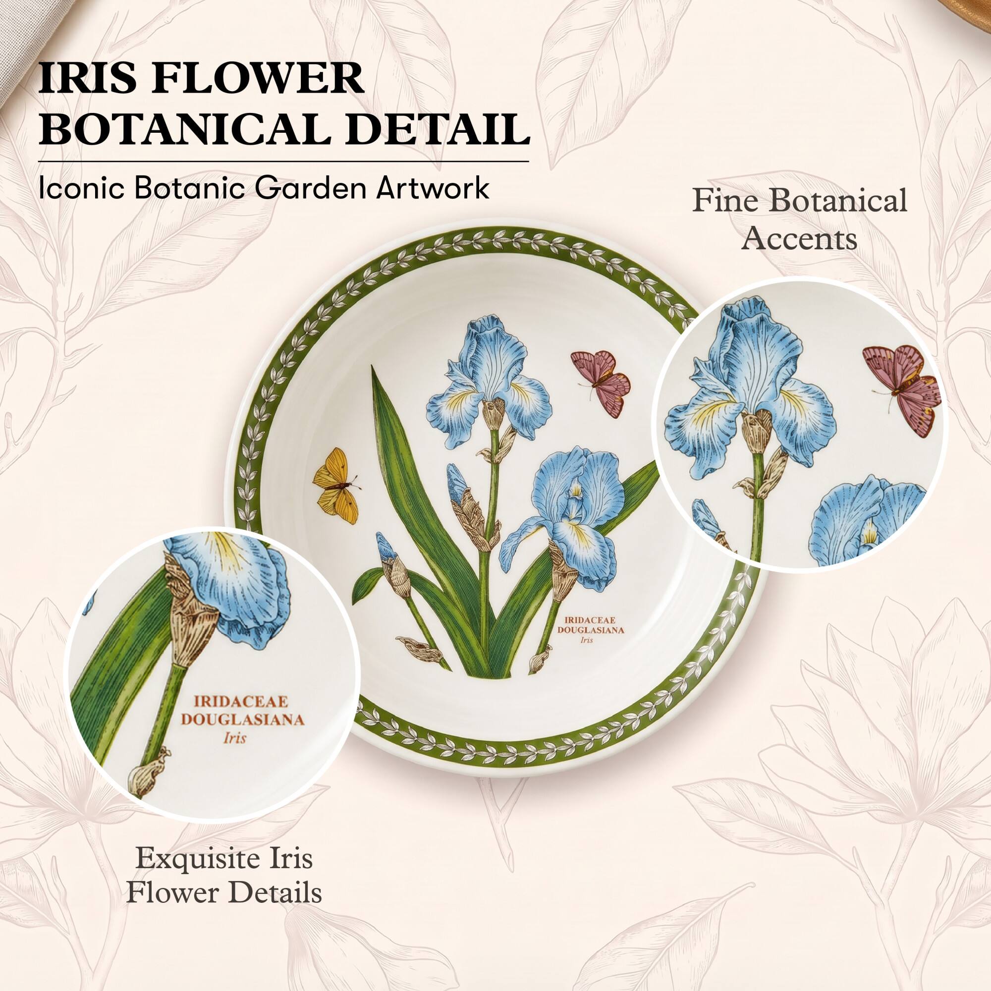 IRIS FLOWER BOTANICAL DETAIL  
Iconic Botanic Garden Artwork  
Fine Botanical Accents  
IRIDACEAE DOUGLASIANA Iris  
Exquisite Iris Flower Details
