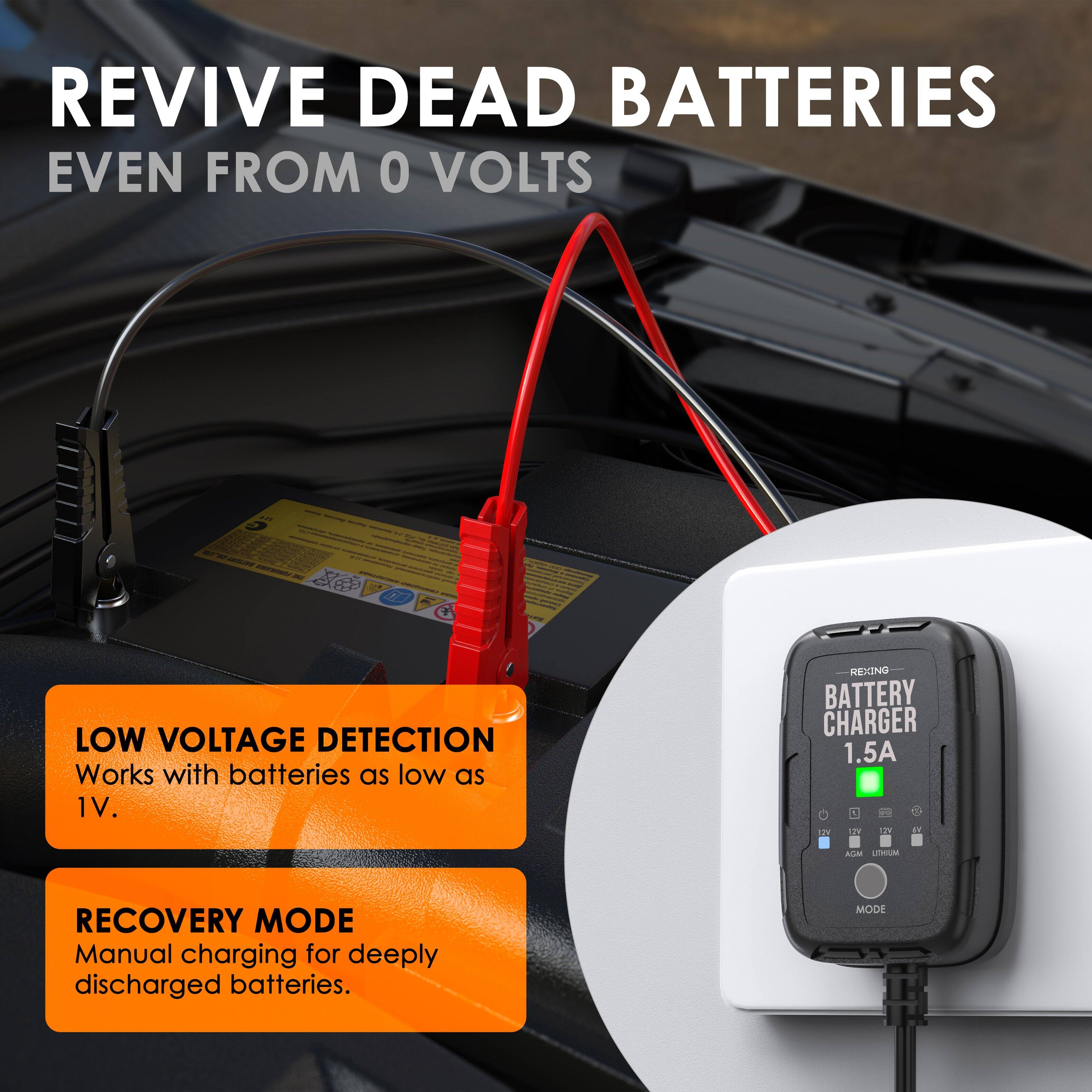 REVIVE DEAD BATTERIES EVEN FROM 0 VOLTS

LOW VOLTAGE DETECTION
Works with batteries as low as 1V.

RECOVERY MODE
Manual charging for deeply discharged batteries.

REXING BATTERY CHARGER 1.5A