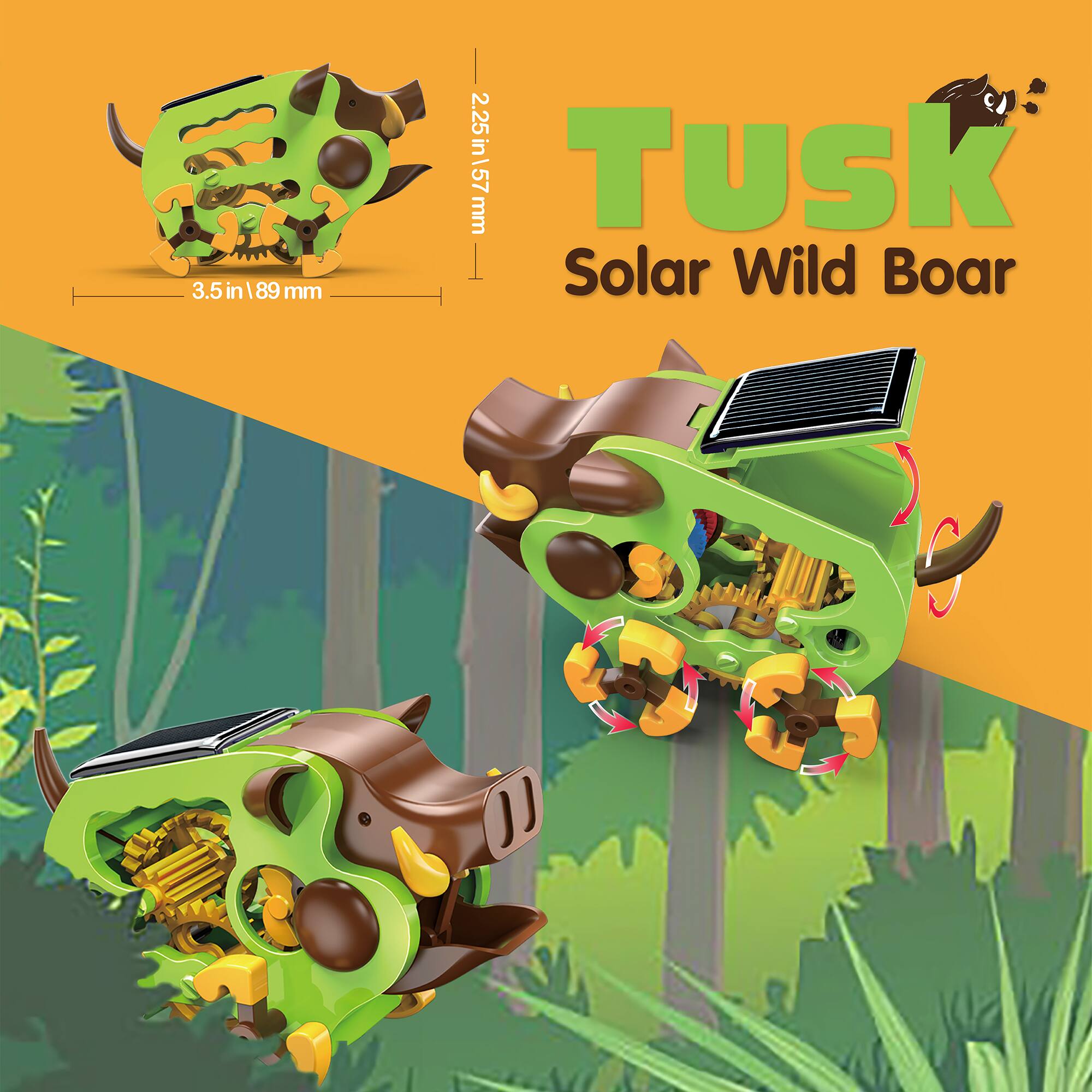 The text on the image reads: "3.5 3.5in189 in 189 / mm 2.25 2.25in/57 57 in Tusk mm Solar Wild Boar." This text is grouped and corrected as follows:

"3.5 3.5 in 189 mm 2.25 2.25 in 57 in Tusk Solar Wild Boar."