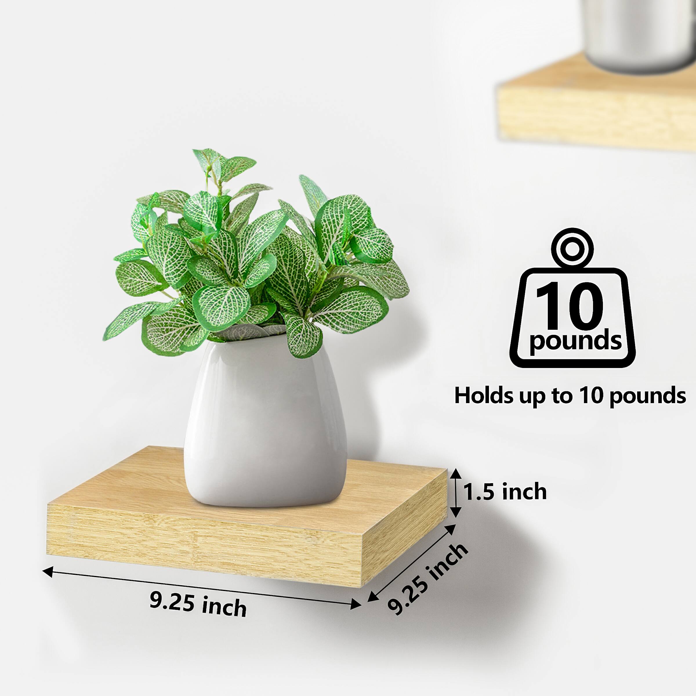 10 pounds, Holds up to 10 pounds, 1.5 inch, 9.25 inch, 9.25 inch