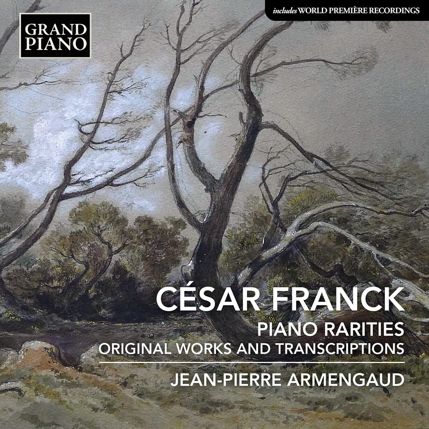 Jean-Pierre Armengaud - Piano Rarities   - COMPACT DISCS [CD] price history on PriceWatchPro