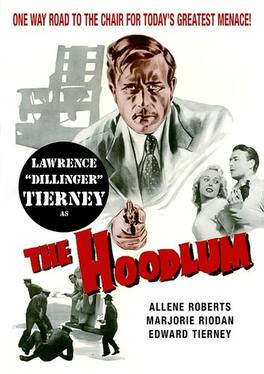 The Hoodlum - DVD