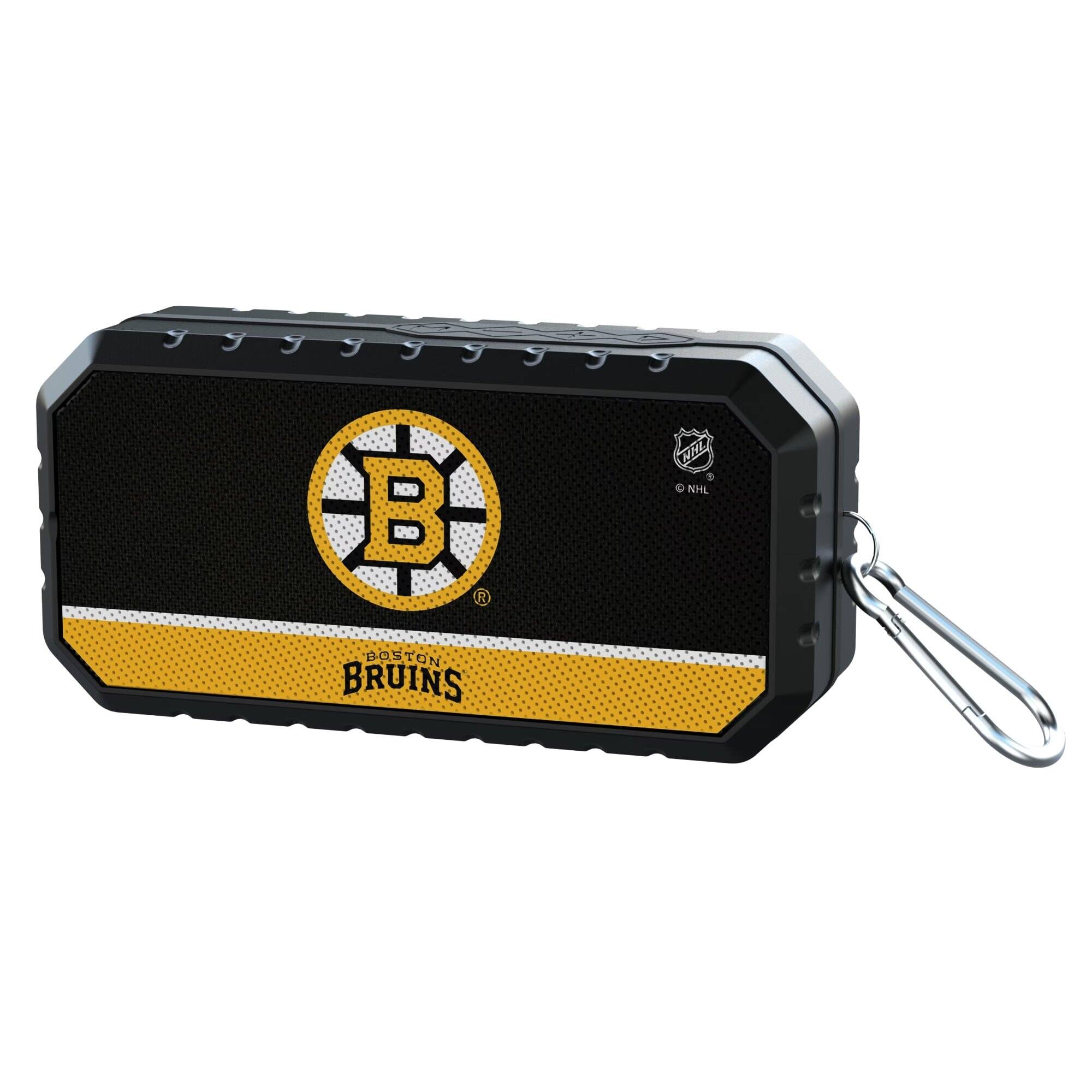 BOSTON BRUINS  
NHL