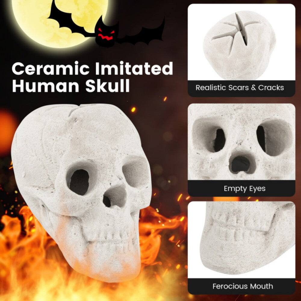 Ceramic Imitated Human Skull

- Realistic Scars & Cracks
- Empty Eyes
- Ferocious Mouth