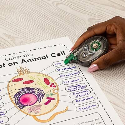 Label the Cell of an Animal Cell

- Cell Membrane
- Microtubules
- Lysosome
- Endoplasmic Reticulum
- Secretory Vesicle
- Peroxisome
- Flagellum
- Cell membrane
- Nucleus
- Mitochondrion
- Smooth Endoplasmic Reticulum
- Rough Endoplasmic Reticulum