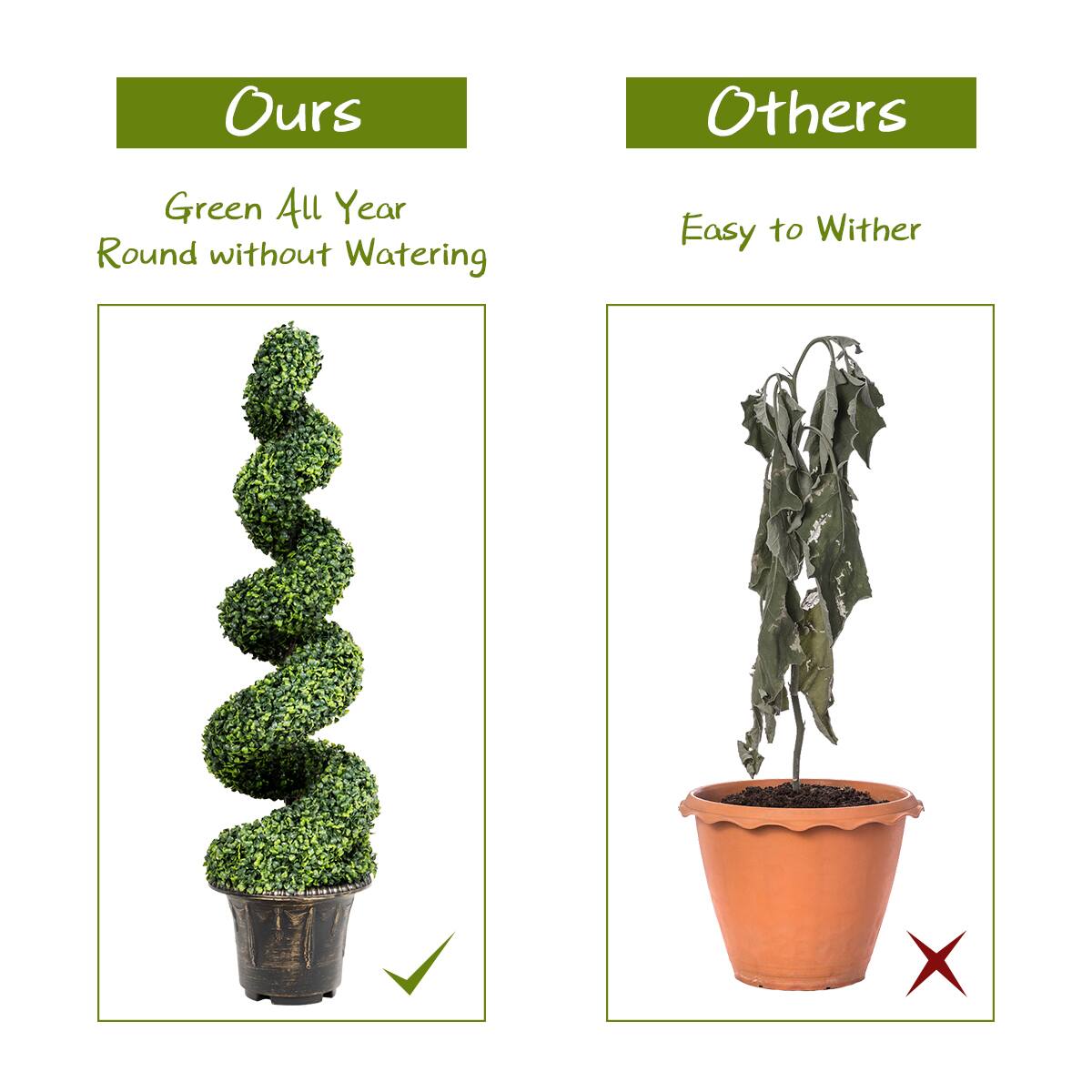 Ours: Green All Year Round without Watering  
Others: Easy to Withstand