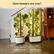 How hungry are you?
4' 6" FT
1 FT
1' 5" FT
GARDYN STUDIO (Daily Salad for 2)
2 FT
5 FT
GARDYN HOME (Daily Salad for 4)