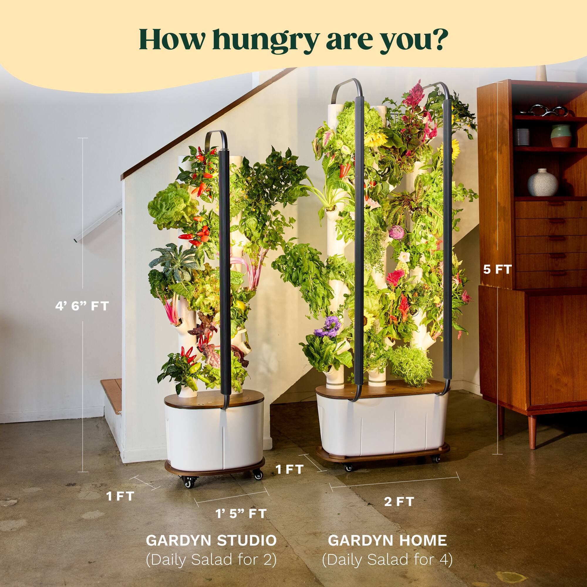 How hungry are you?

4' 6" FT

1 FT

1' 5" FT

GARDYN STUDIO (Daily Salad for 2)

2 FT

5 FT

GARDYN HOME (Daily Salad for 4)