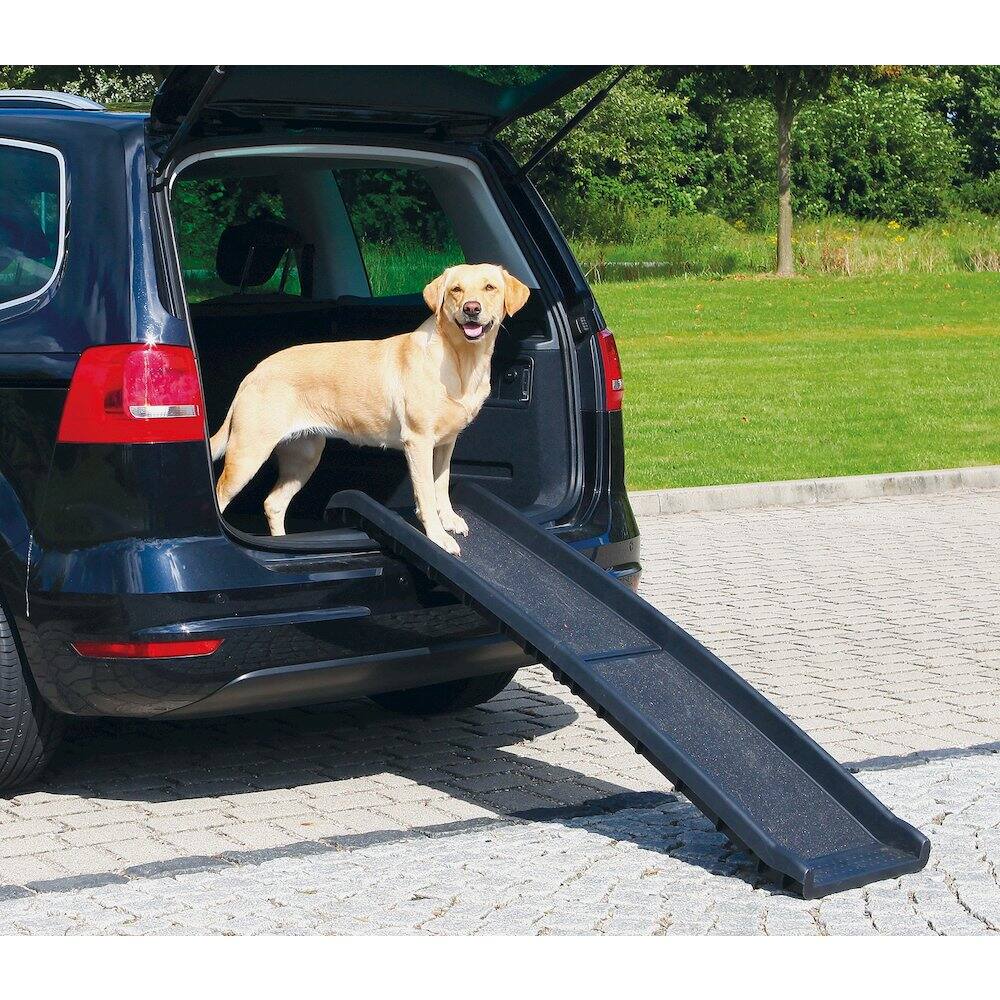 Angle. TRIXIE - Foldable Non-Slip 62" Long Plastic Pet Ramp, Black, 200 lb Limit - Black.