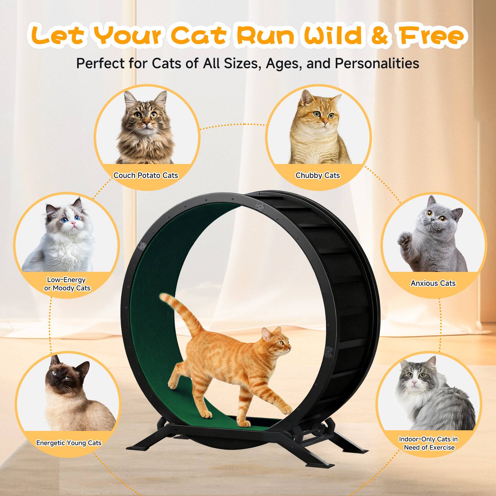 Let Your Cat Run Wild & Free  
Perfect for Cats of All Sizes, Ages, and Personalities  

- Couch Potato Cats  
- Chubby Cats  
- Low-Energy or Moody Cats  
- Anxious Cats  
- Energetic Young Cats  
- Indoor-Only Cats in Need of Exercise