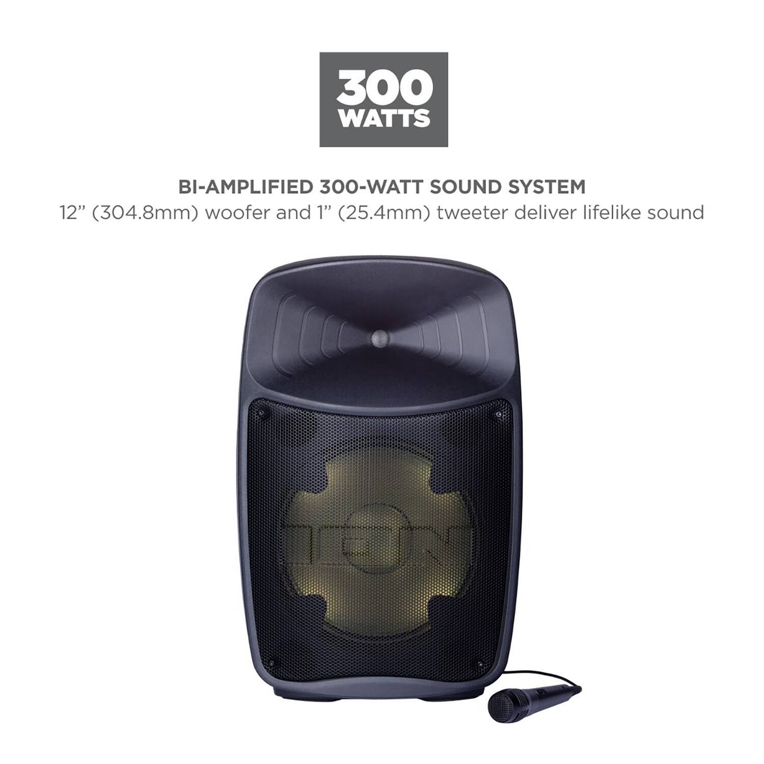 300 WATTS BI-AMPLIFIED 300-WATT SOUND SYSTEM  
12" (304.8mm) woofer and 1" (25.4mm) tweeter deliver lifelike sound