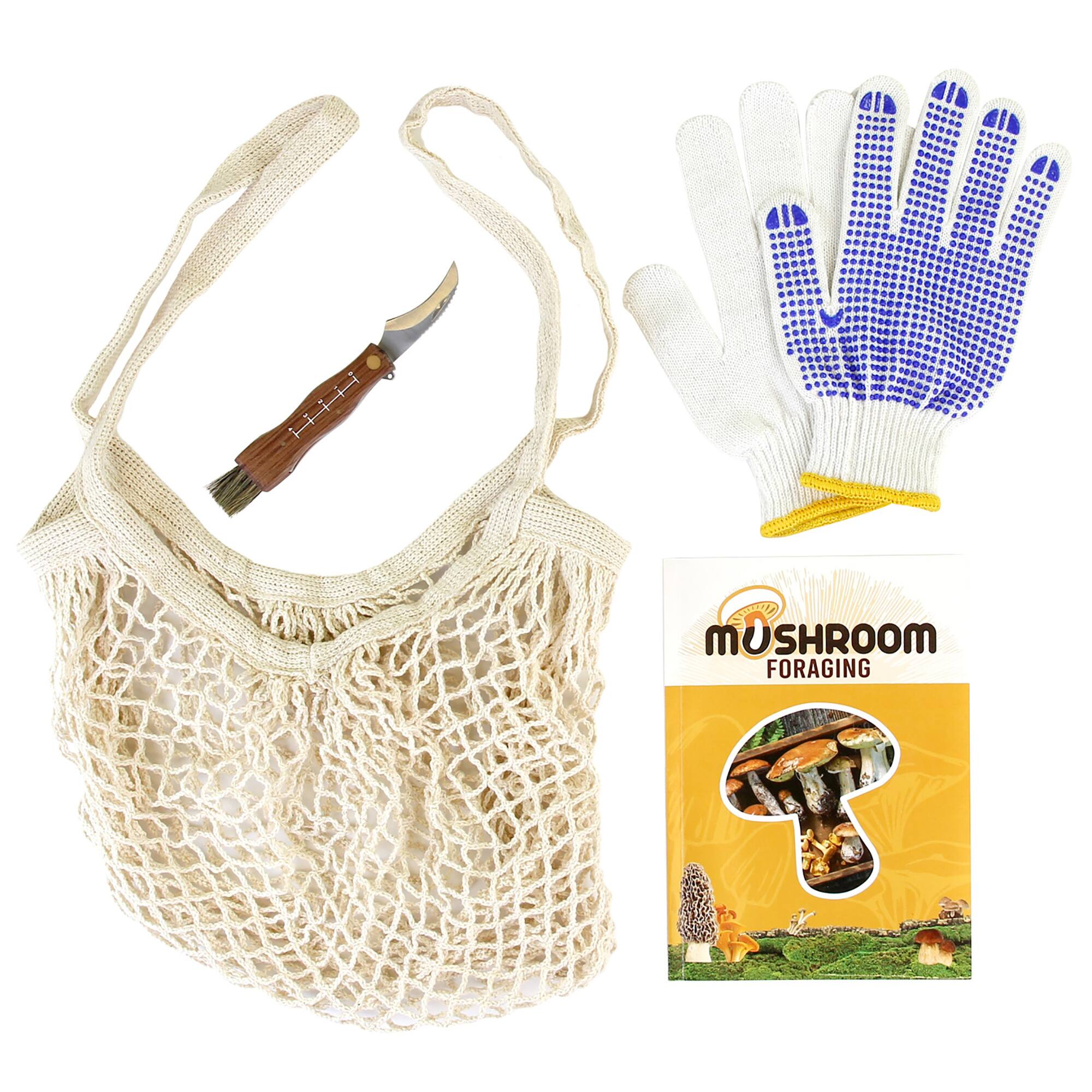 Mushroom Foraging