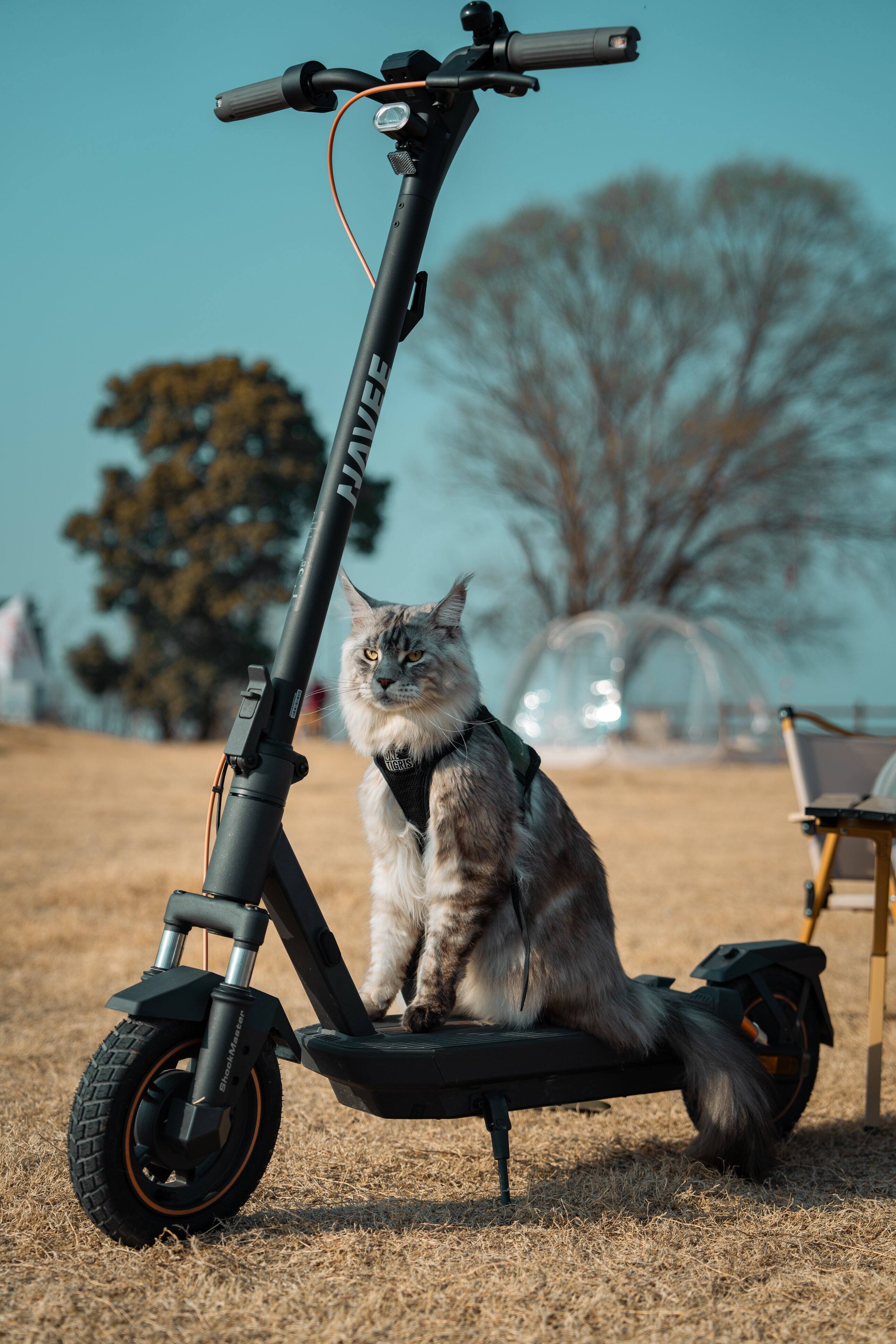 NAVEE - UCRIS BhookMaster