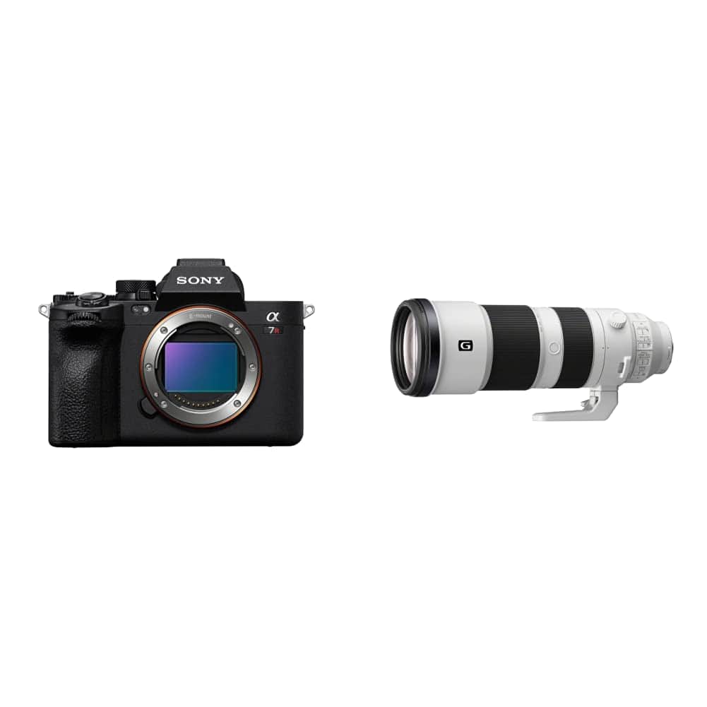 Alpha 7R V Full-Frame Mirrorless Camera with Sony FE 200-600mm OSS Super Telephoto Zoom Lens - Black