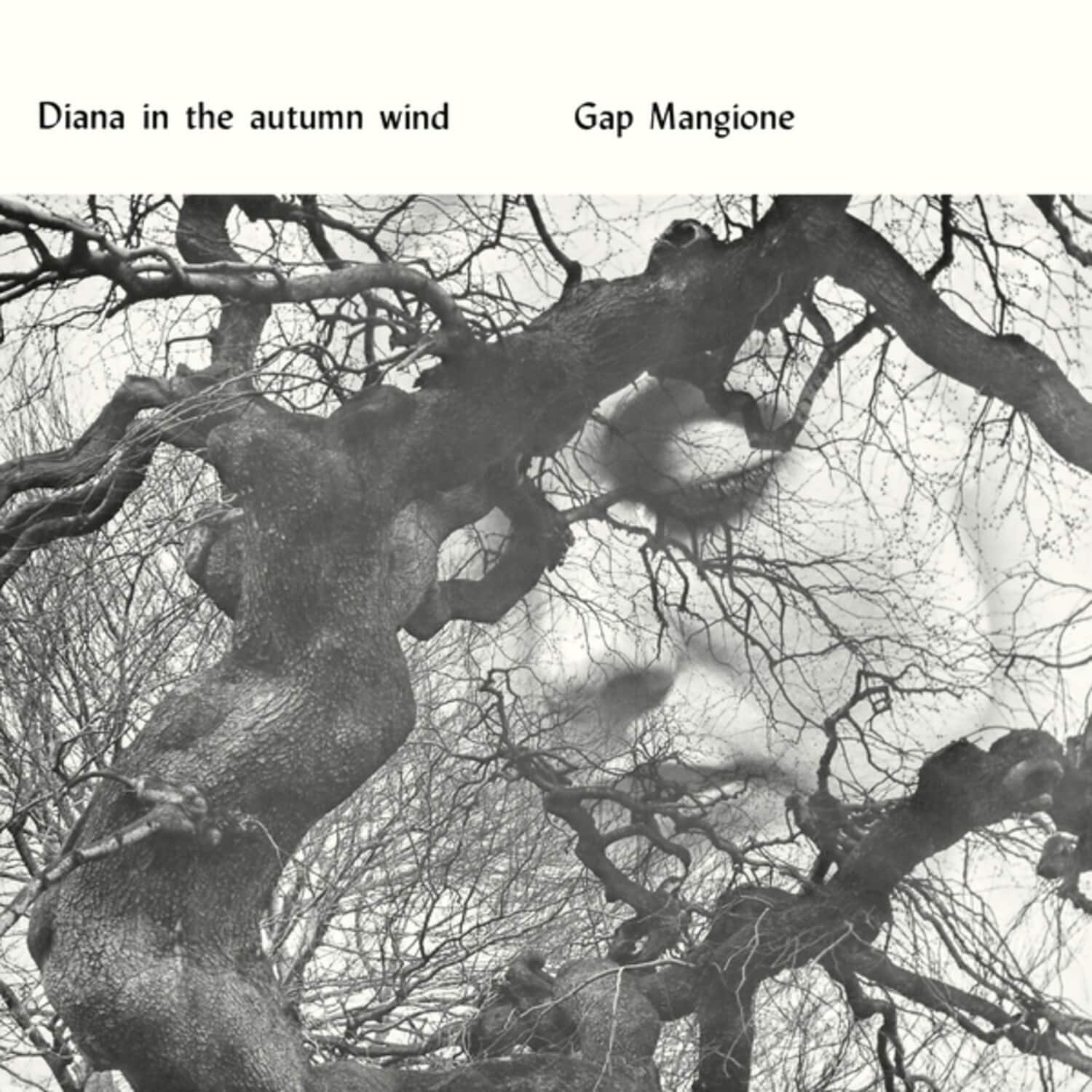 Gap Mangione - Diana In The Autumn Wind   - VINYL LP price history on PriceWatchPro