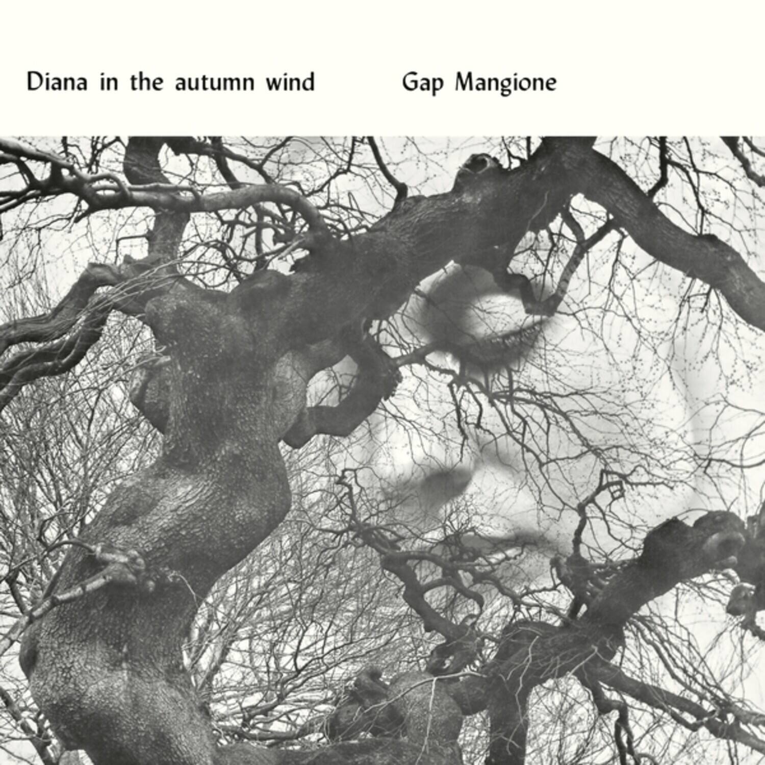 Diana in the autumn wind  
Gap Mangione