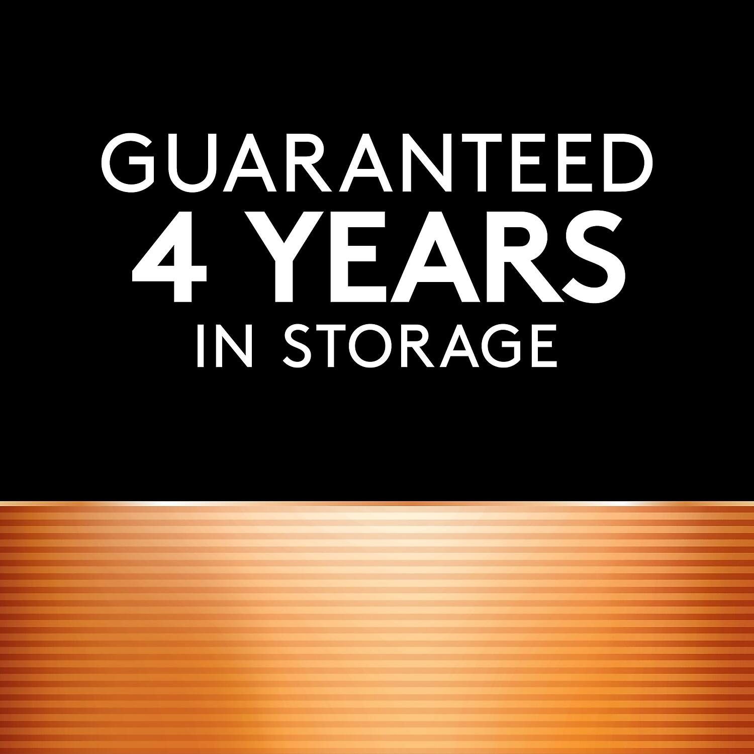 GUARANTEED  
4 YEARS  
IN STORAGE