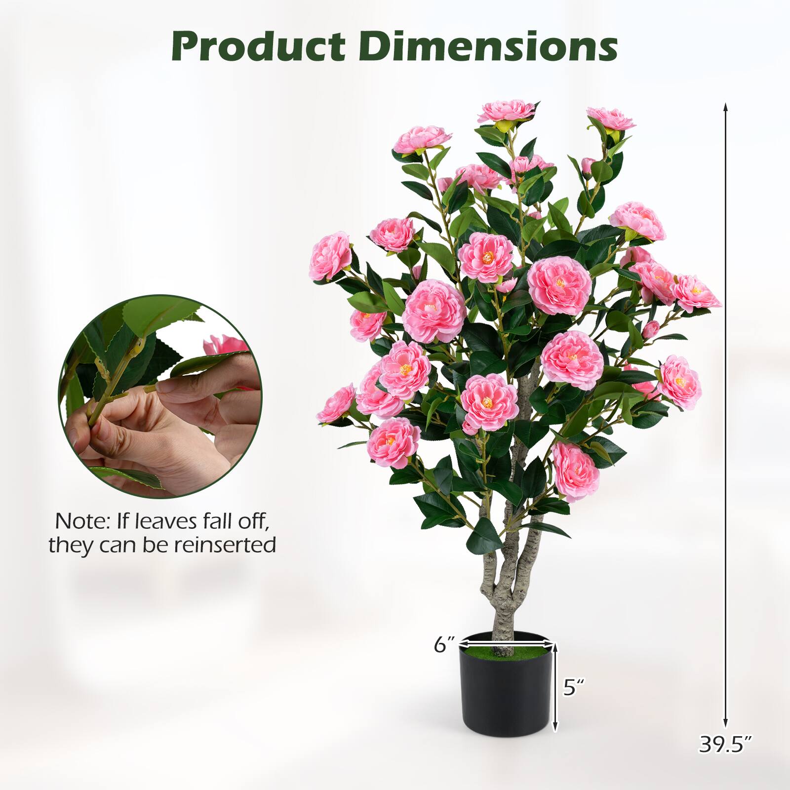 Product Dimensions

Note: If leaves fall off, they can be reinserted

6" 5" 39.5"