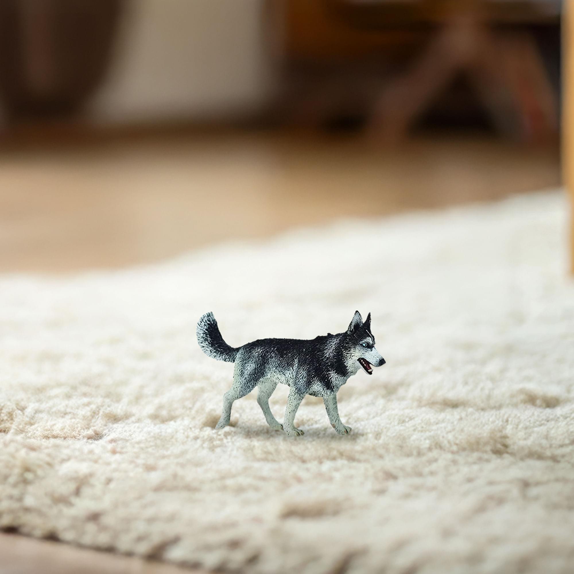 Alt View 10. Breyer Animal Creations - CollectA Cats & Dogs Collection Miniature Figure | Siberian Husky - Grey.
