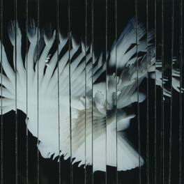 Scaler - Endlessly - VINYL LP