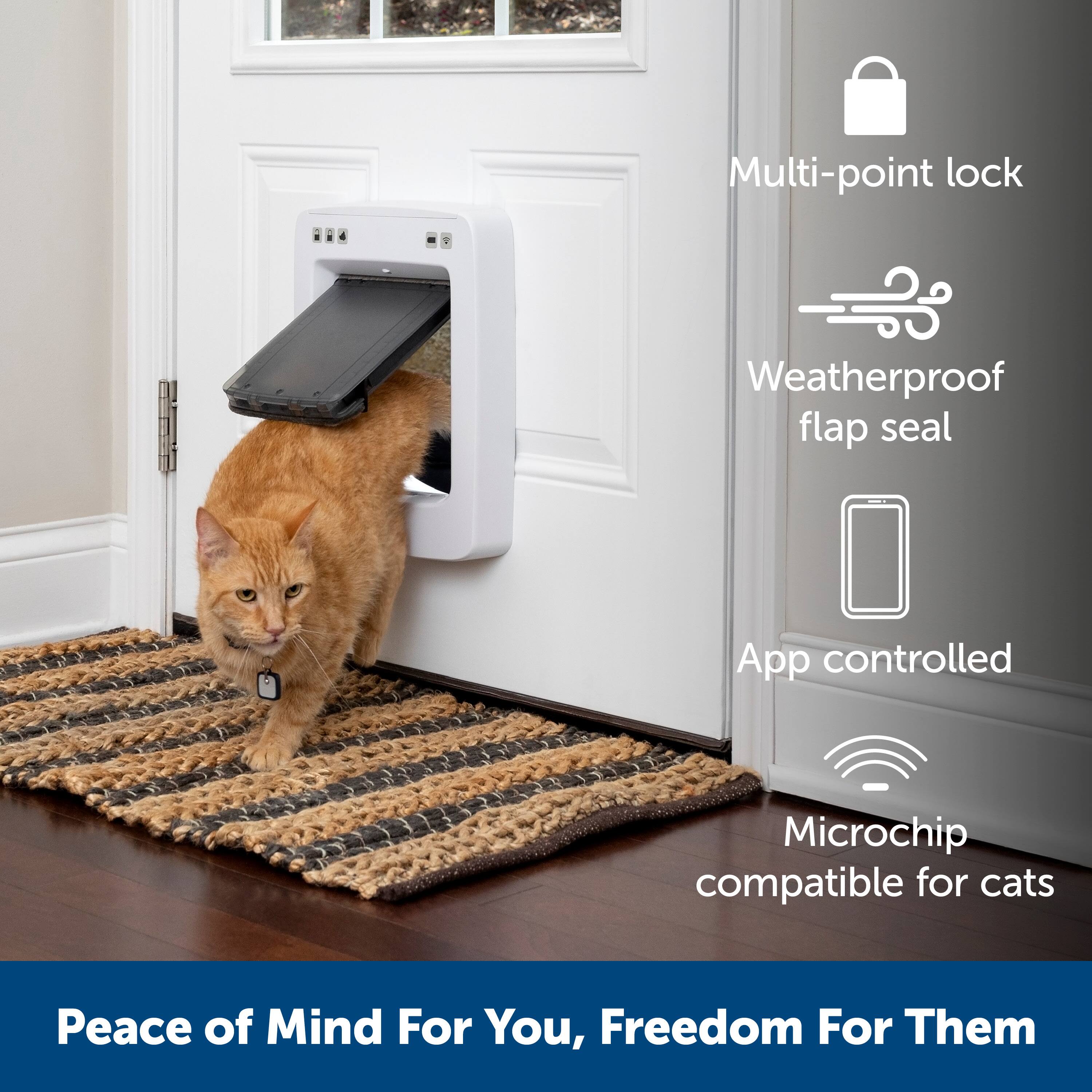 The text on the image is grouped and corrected as follows:

Multi-point lock Weatherproof flap seal App controlled Microchip compatible for cats Peace of Mind For You, Freedom For Them