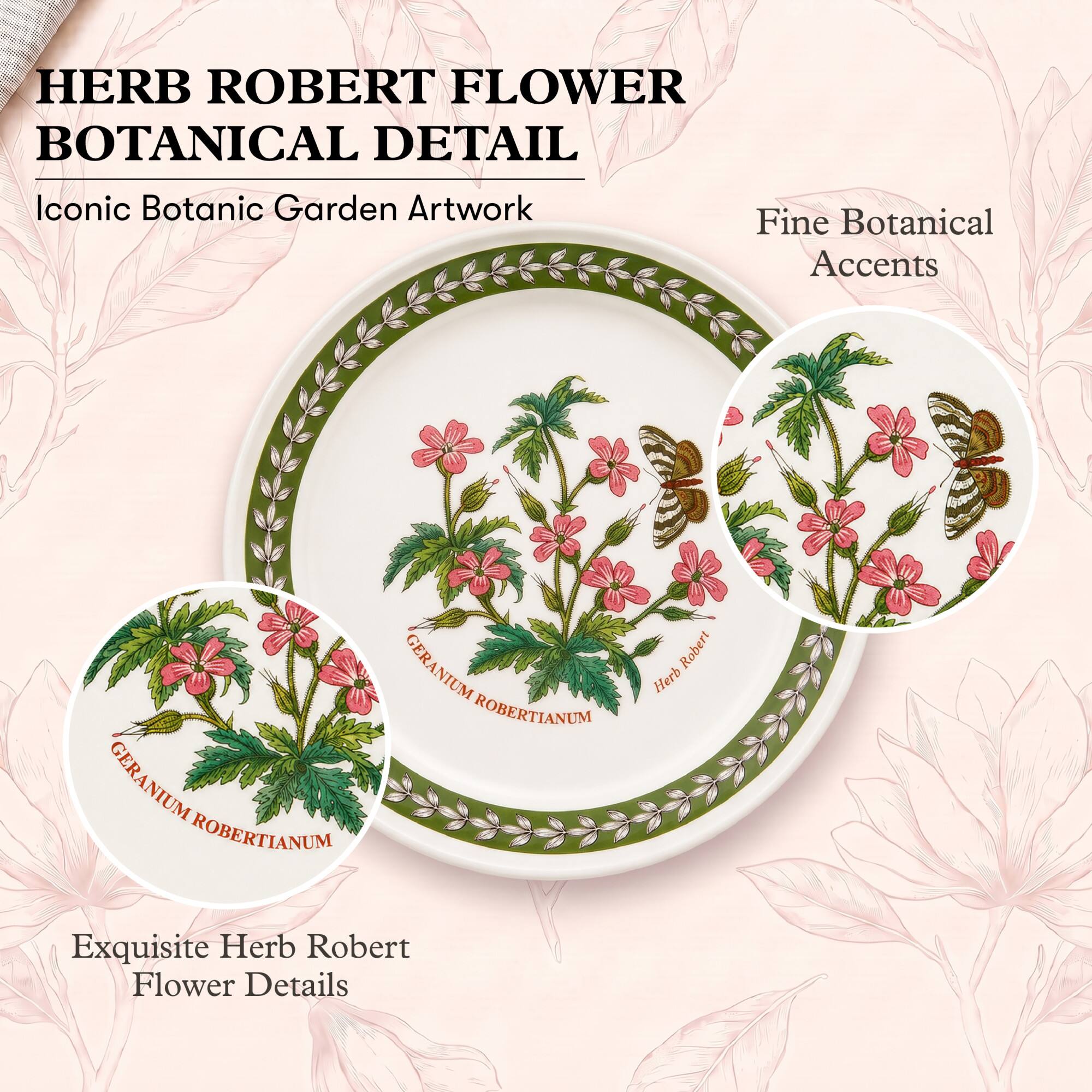 HERB ROBERT FLOWER BOTANICAL DETAIL

Iconic Botanic Garden Artwork

Fine Botanical Accents

GERANIUM ROBERTIANUM

Herb Robert

Exquisite Herb Robert Flower Details