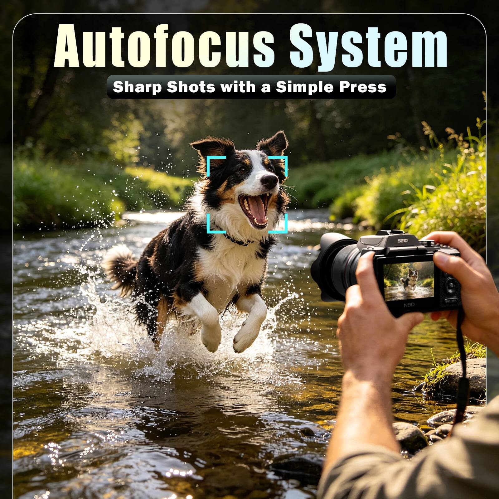 Autofocus System  
Sharp Shots with a Simple Press