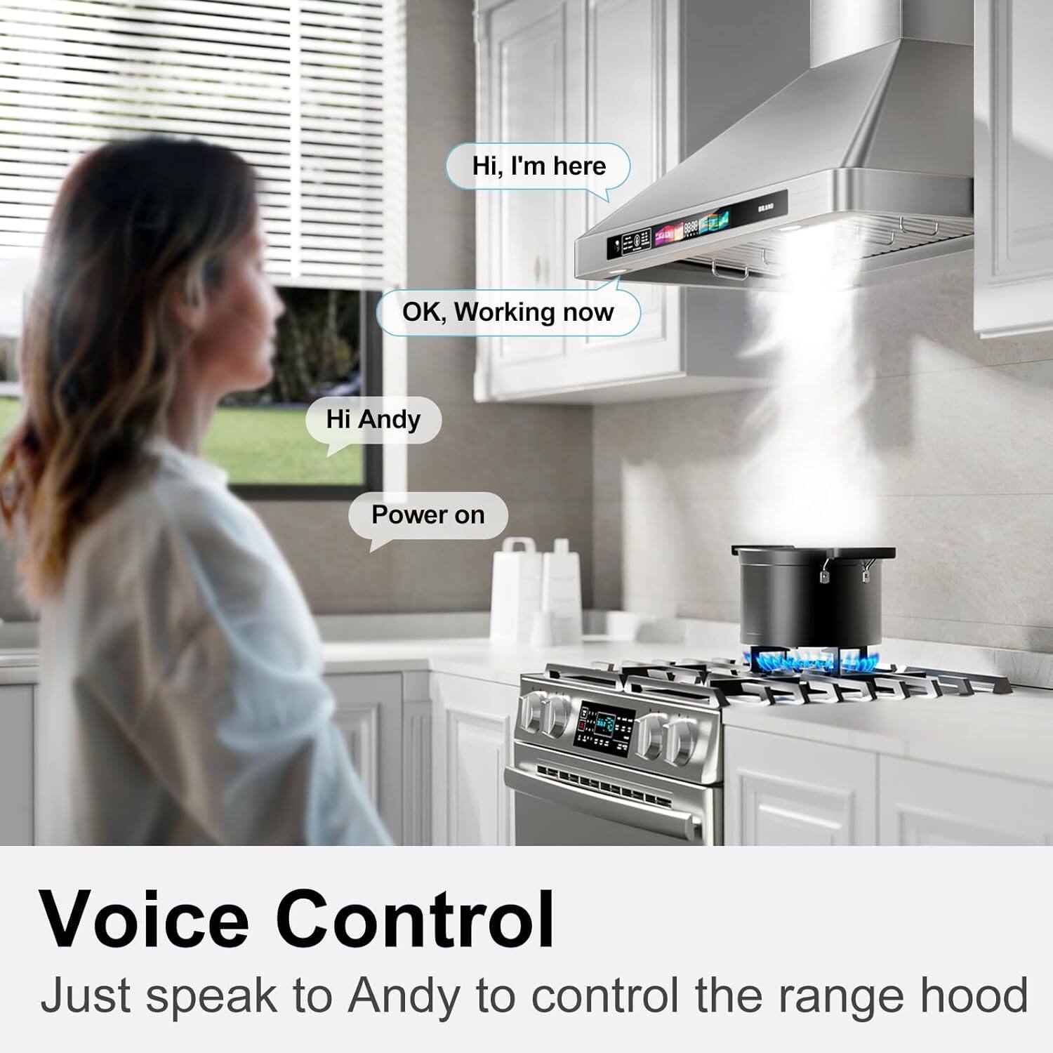 Hi, I'm here  
OK, Working now  
Hi Andy  
Power on  

Voice Control  
Just speak to Andy to control the range hood