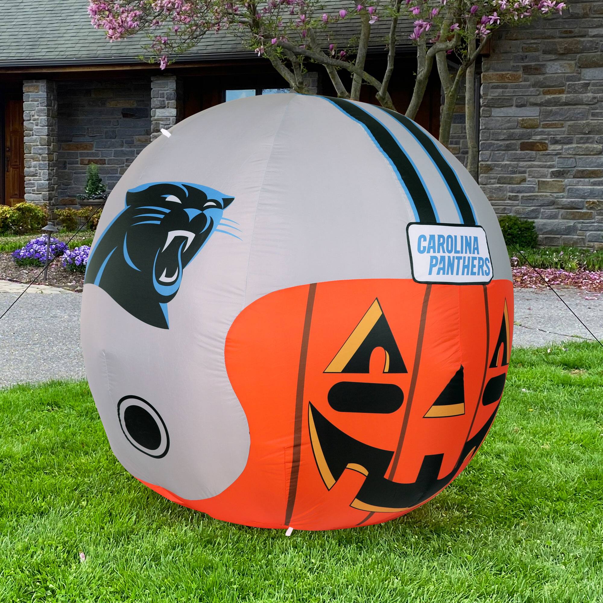 CAROLINA PANTHERS