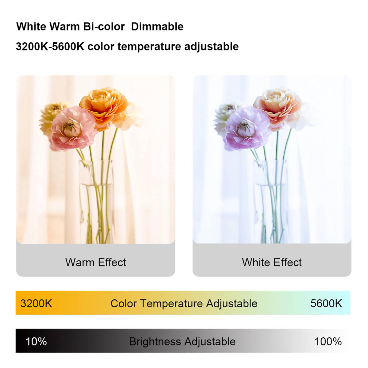 White Warm Bi-color Dimmable  
3200K-5600K color temperature adjustable  
Warm Effect  
White Effect  
3200K Color Temperature Adjustable  
5600K  
10% Brightness Adjustable  
100%