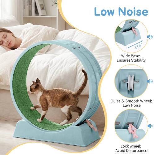 Low Noise

13.4" Wide Base: Ensures Stability

Quiet & Smooth Wheel: Low Noise

Lock Wheel: Avoid Disturbance