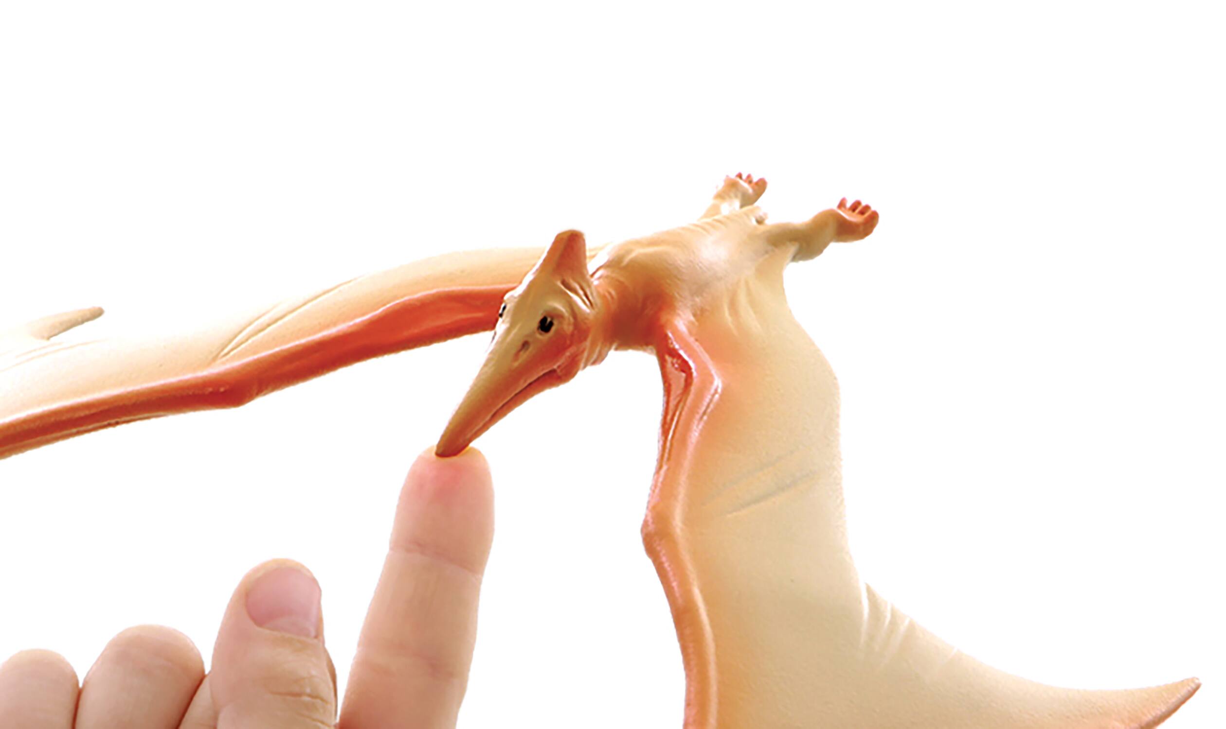 Angle. Brainstorm Limited - Brainstorm Toys - Natural History Museum The Amazing Balancing Pteranodon - Gravity Defying.