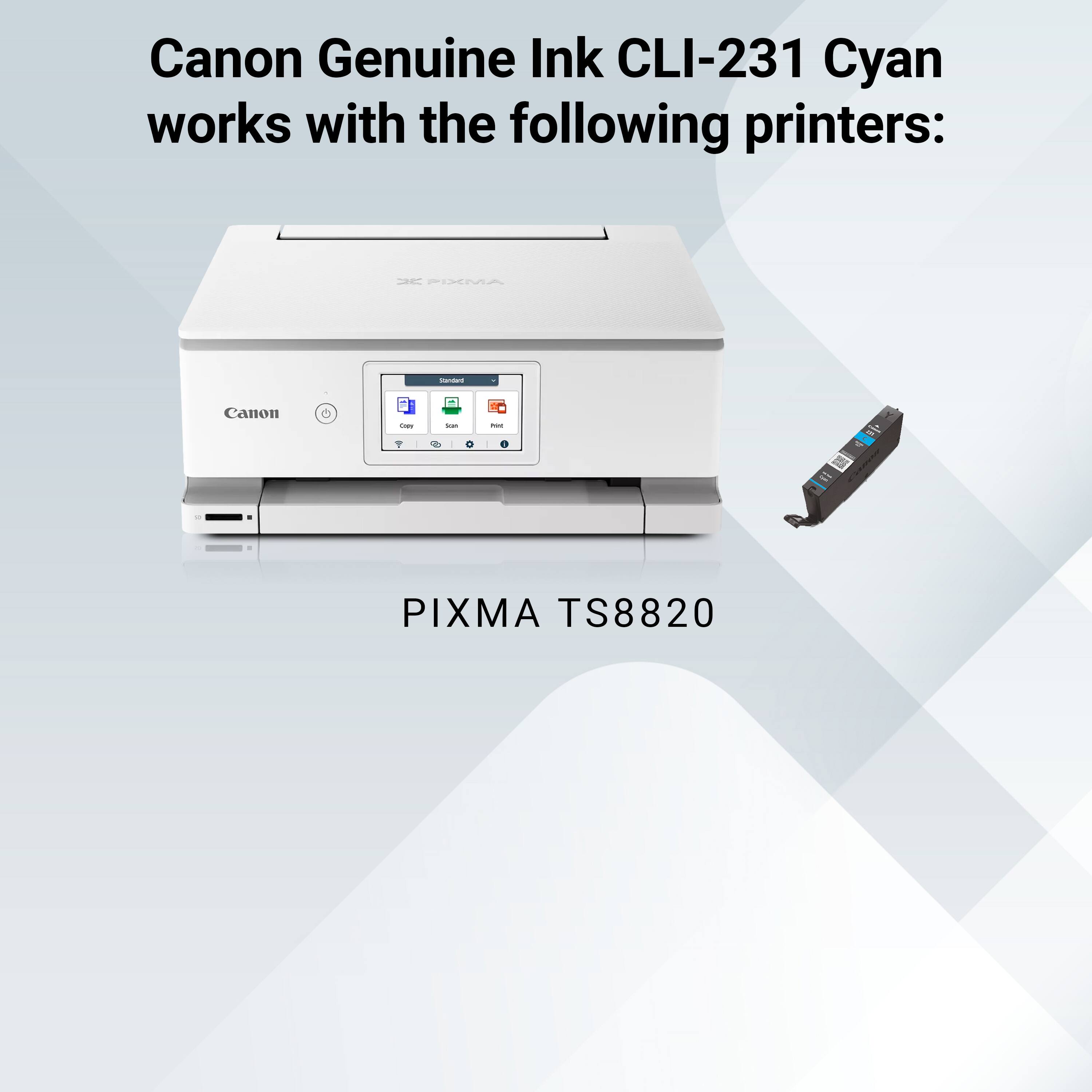 Canon Genuine Ink CLI-231 Cyan works with the following printers:

PIXMA TS8820