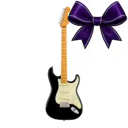 Fender - American Professional II Stratocaster 6-String Electric Guitar (Black)