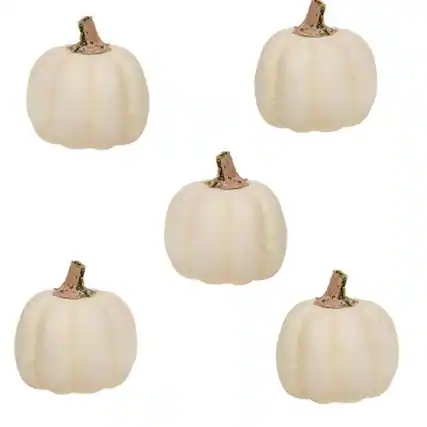 Front. BreeBe - *5/Set Mossy Stem Cream Pumpkins - Cream.