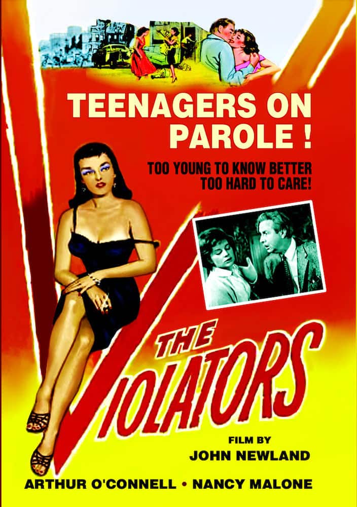 The Violators - DVD price history on PriceWatchPro