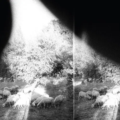 Asunder Godspeed You! Black Emperor Asunder Sweet & Other Distress COMPACT ...