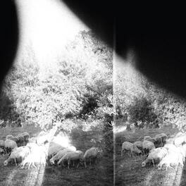 Godspeed You! Black Emperor - Asunder Sweet & Other Distress - VINYL LP