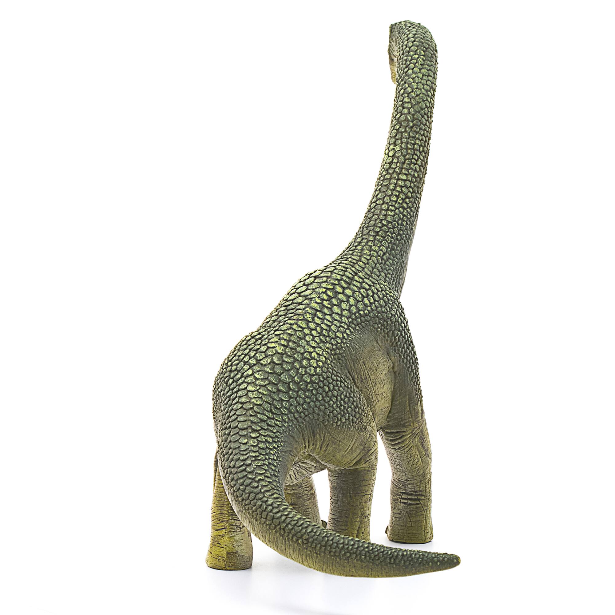 Left. Schleich - Dinosaurs: Brachiosaurus.
