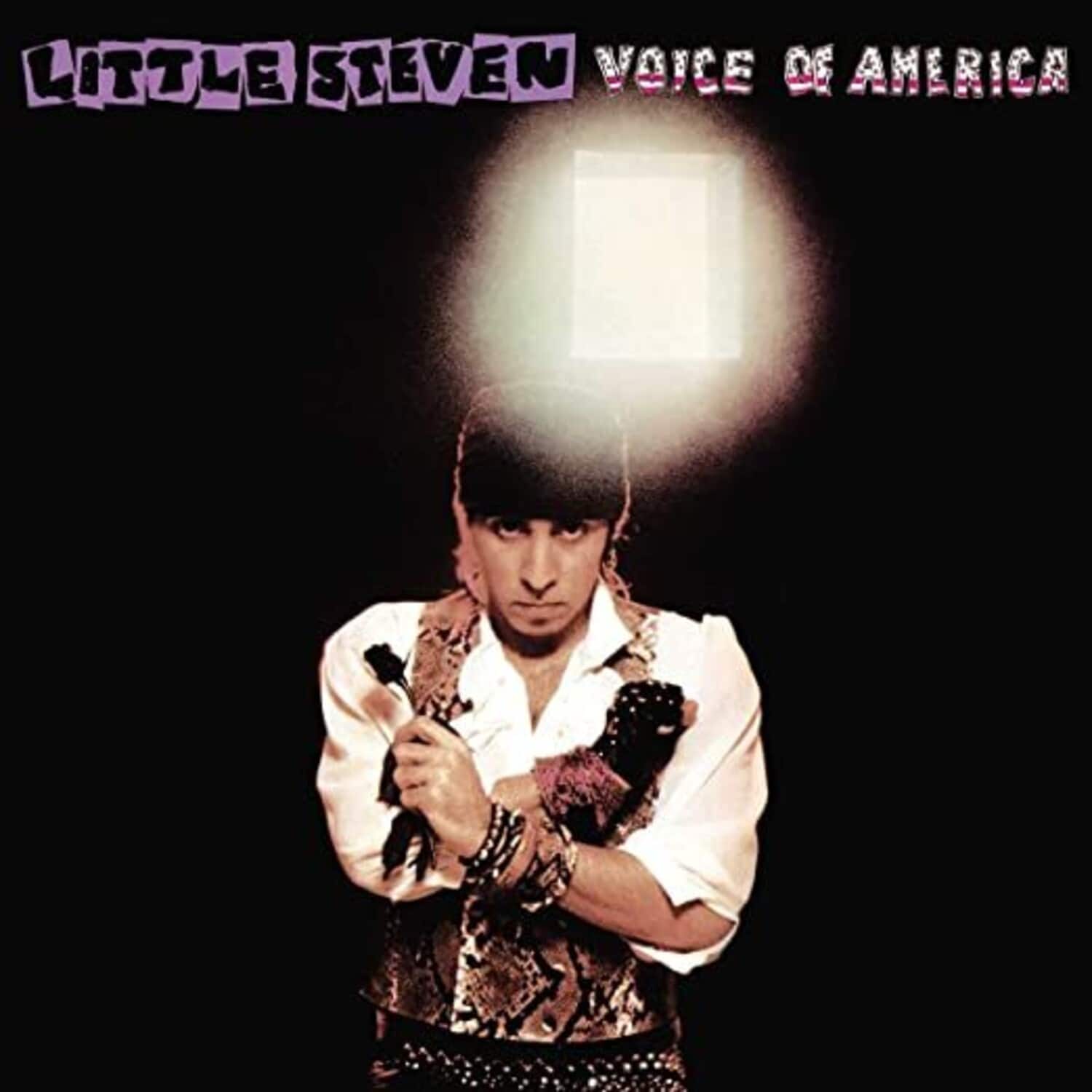 Little Steven - Voice Of America   - COMPACT DISCS [CD] price history on PriceWatchPro
