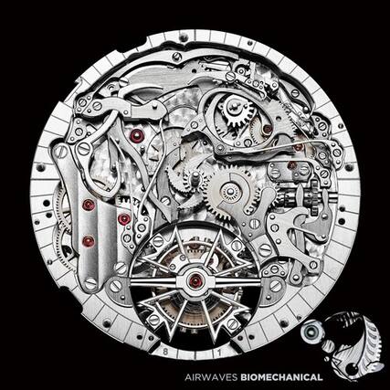 NF 8 1
AIRWAVES BIOMECHANICAL