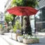 Alt View 15. Nature Spring - 9-Foot Outdoor Patio Umbrella with Push Button Tilt - Red.
