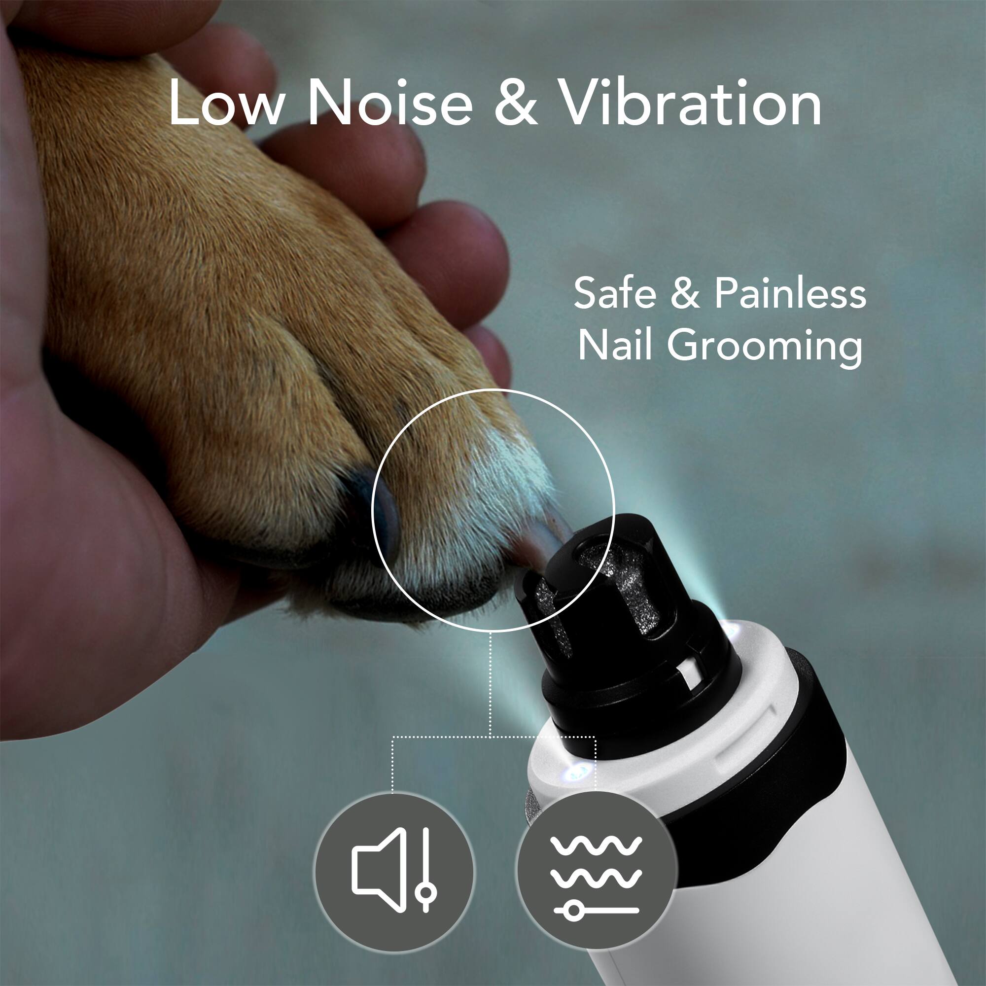 Low Noise & Vibration  
Safe & Painless Nail Grooming
