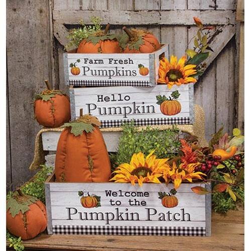 Farm Fresh Pumpkins  
Hello Pumpkin  
Welcome to the Pumpkin Patch